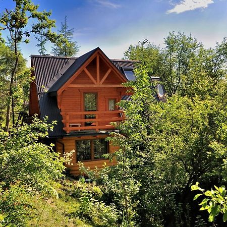 Domki Mroz Zakopane Extérieur photo