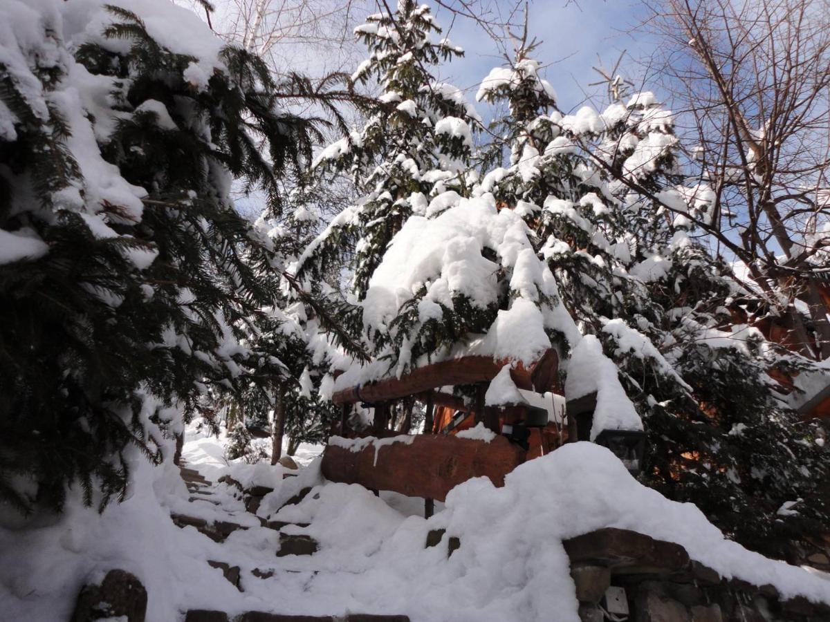 Domki Mroz Zakopane Extérieur photo