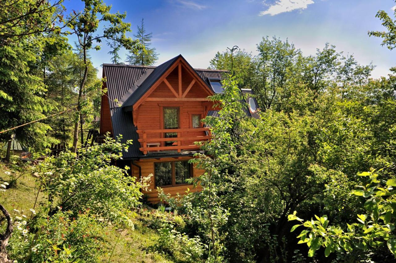 Domki Mroz Zakopane Extérieur photo