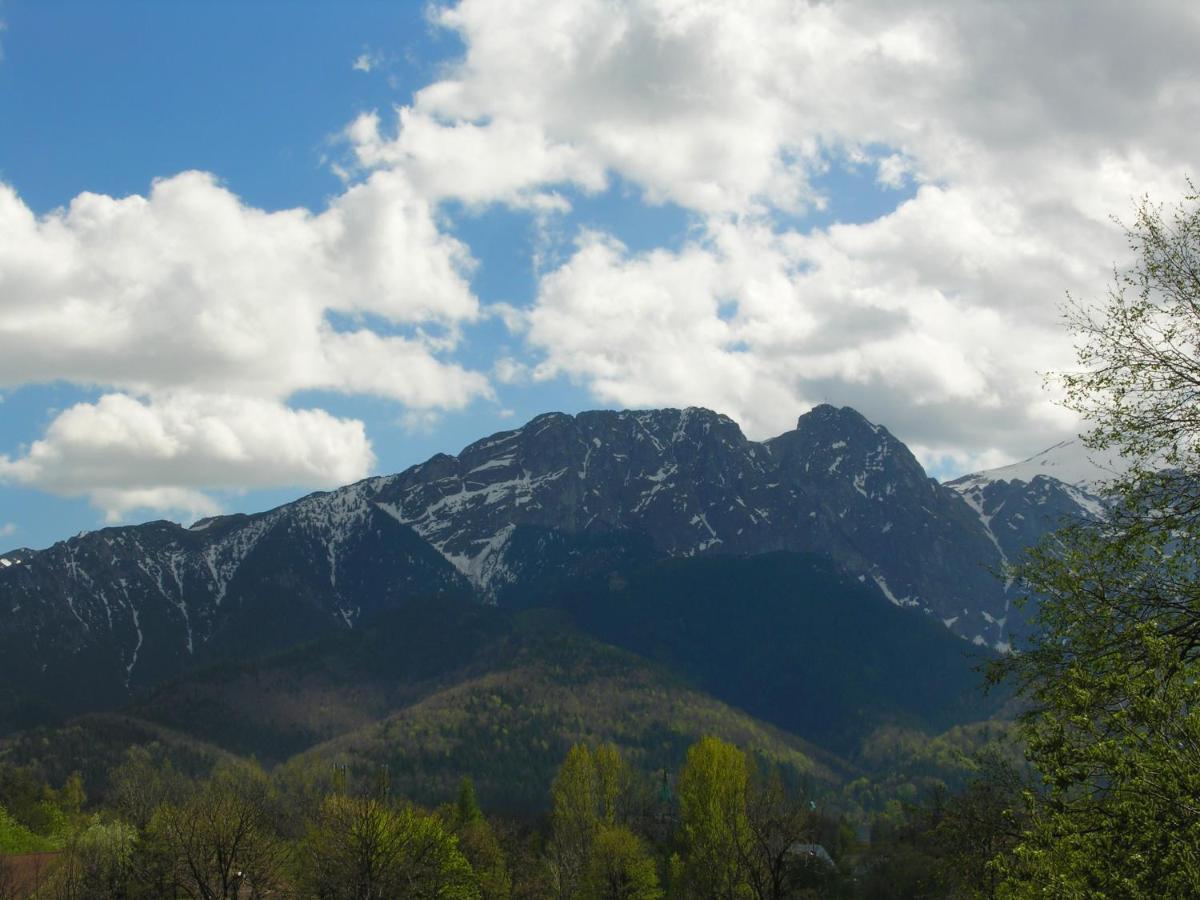 Domki Mroz Zakopane Extérieur photo