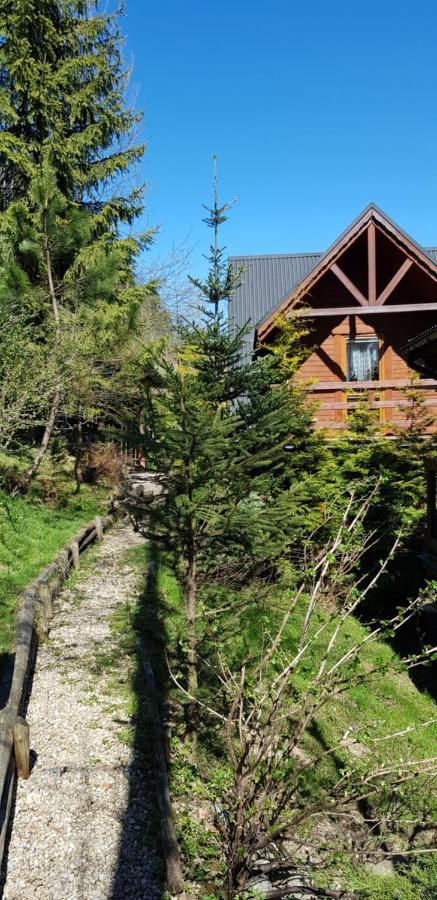 Domki Mroz Zakopane Extérieur photo